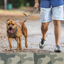 Training Leash For Medium & Large Dogs