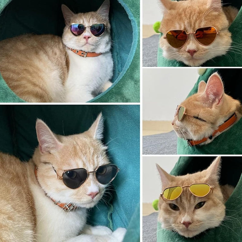 Goggles For Small Dog And Cat