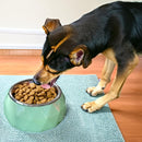 Anti-Skid Melamine Stainless Steel Bowls For Dogs