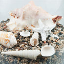 Silica Sand For Aquariums, Fire Pits, Landscaping Decor