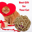 Sound Ball For Indoor Cats