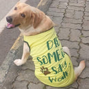 Summer T-shirt For Pets