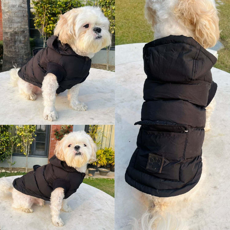 Winter Hoodie Jacket for Small Breed Dog (Black)