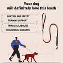 Flexible Bungee Leash For Dogs