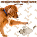 Interactive Toy  For Dog