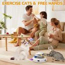 Interactive  Electronic Cat Teaser Toy