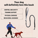 Flexible Bungee Leash For Dogs