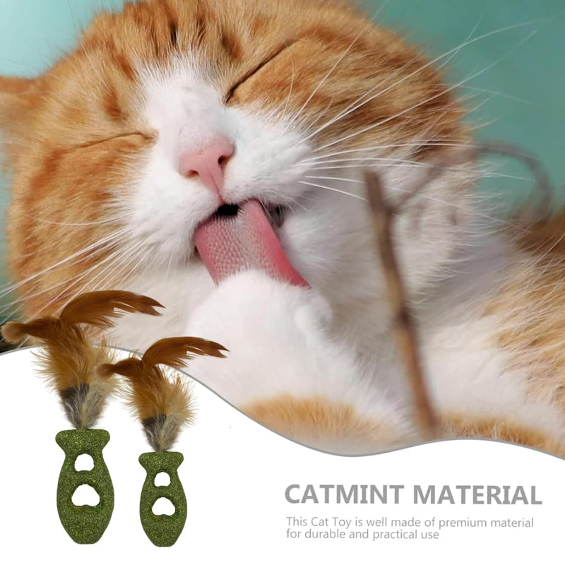 Catnip Toy For Cat