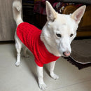 Stretchable Dog Sweater for Winter