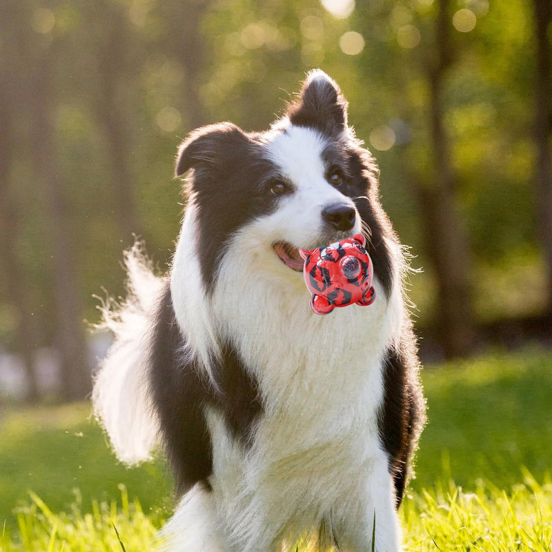 Squeaky Ball Toy For Dog