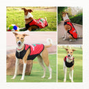 Summer T-shirt For Pets