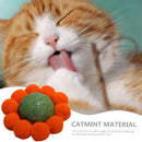 Catnip Chew Toy for Cats - Dental Care and Bonding