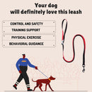 Flexible Bungee Leash For Dogs