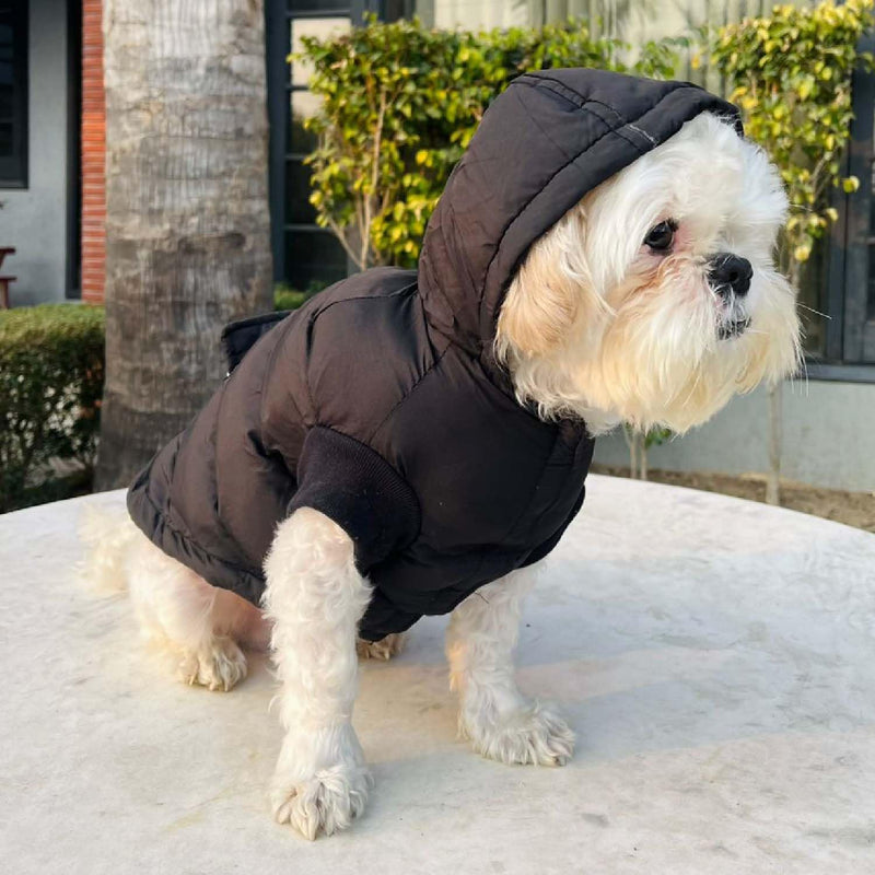 Winter Hoodie Jacket for Small Breed Dog (Black)