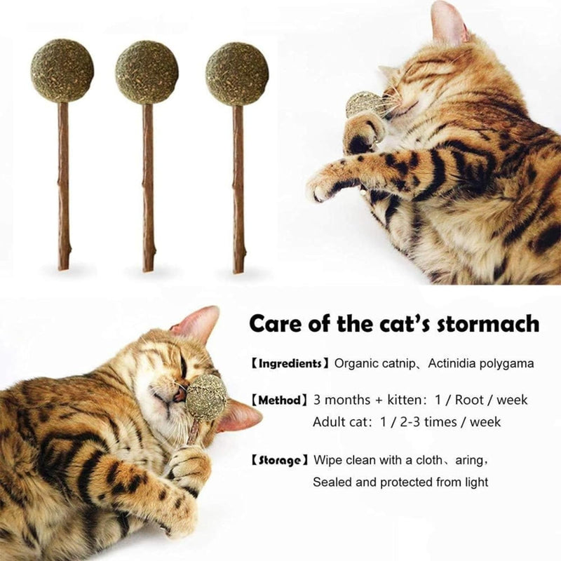 Catnip Lollipop Toy For Cat