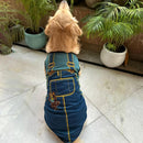 Summer T-shirt For Pets