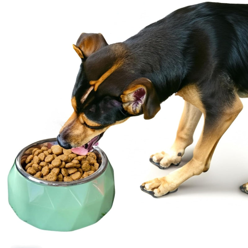 Anti-Skid Melamine Stainless Steel Bowls For Dogs