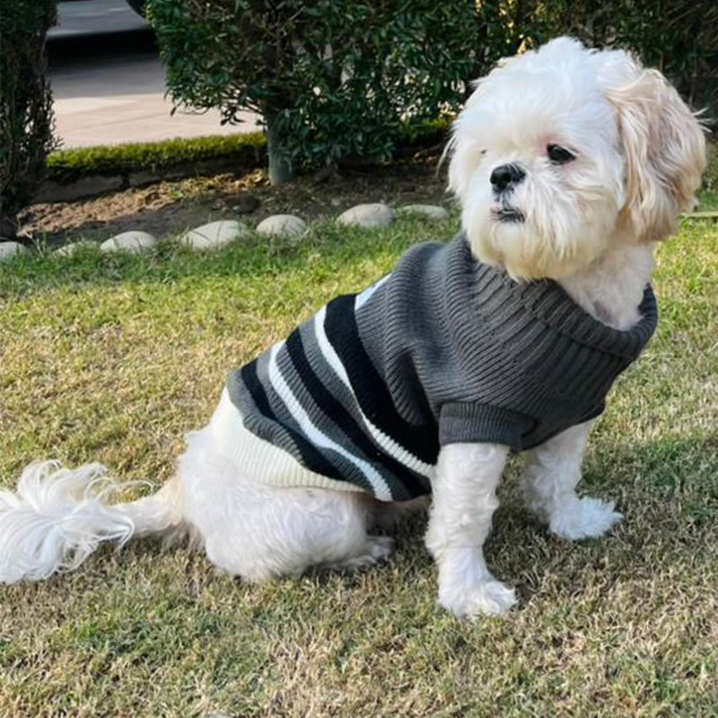 Sweater For Small Dogs Cats