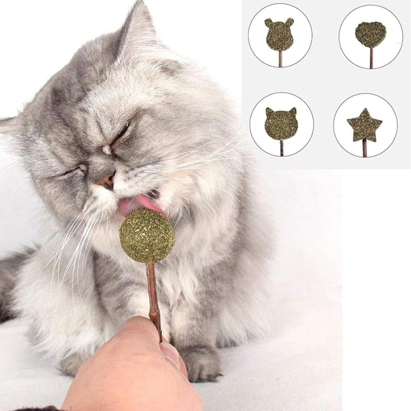 Catnip Sticks Toy For Cat