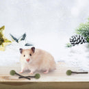 Natural Cat Catnip Treat Balls For Cat Dental Health