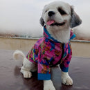 Waterproof Hooded Raincoat For Dog Cat