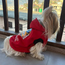 Dog Hoodie Sweatshirt for winters