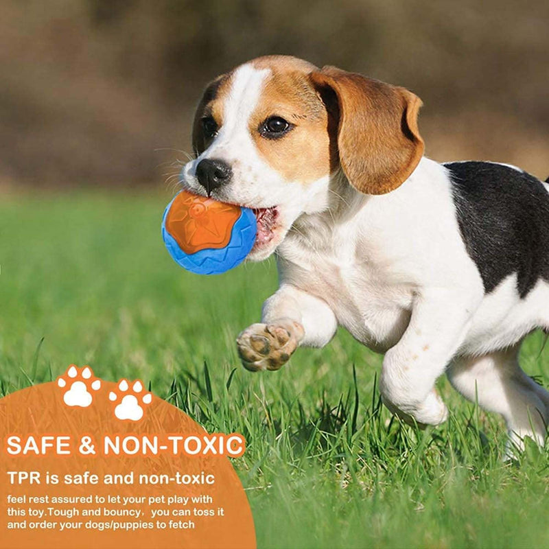 Non-Toxic Natural Rubber Toy Ball For (Dogs Color May Vary)