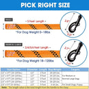 Premium Heavy-Duty Nylon Dog Leash with Padded Handle