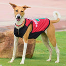 Summer T-shirt For Pets