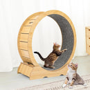 Wooden Cat Exercise Wheel with Carpeted Runway