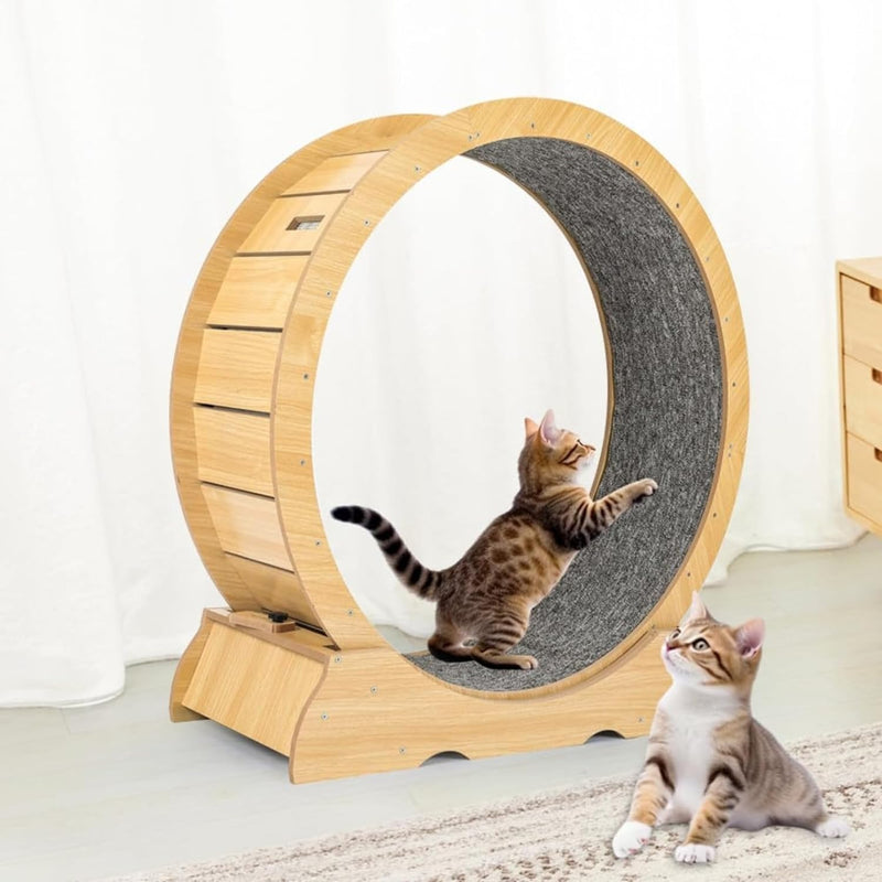 Indoor Toys For Cat