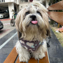 Winter Hoodie Jacket for Small Breed Dog (Navy Blue With White And Teal Spots)