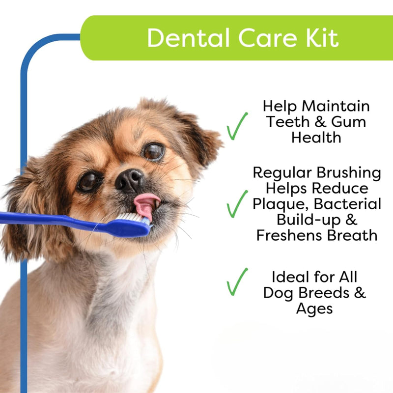 Pet Dental Care Kit : 4-Piece Oral Hygiene Kit Includes Finger Brush, Dog Cat Toothpaste and Toothbrush Set