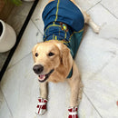 Summer T-shirt For Pets