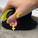 Hair Detailer Dog Hair Remover for Car & Home