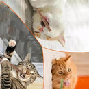 Natural Catnip Stick: Fun and Healthy Chew Toy for Cats