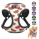 Adjustable Harnesses For Dogs