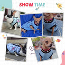 Summer T-shirt For Pets