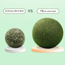 Natural Catnip Ball Toy for Cats