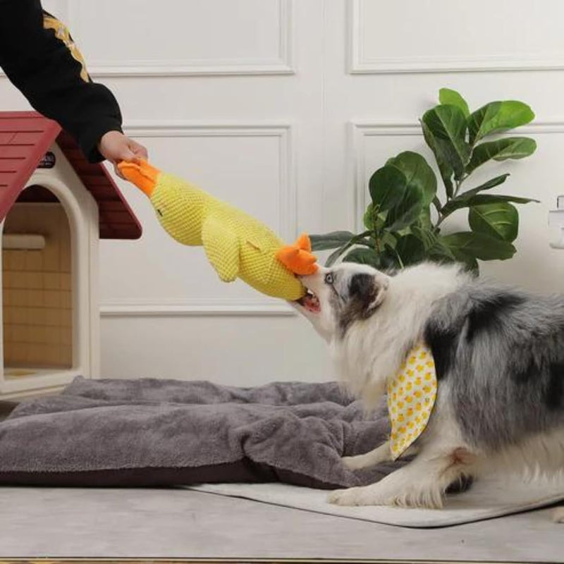 Cute Squeaky Toy For Dogs