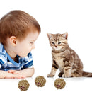 Sound Ball For Indoor Cats