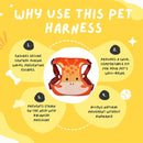 Adjustable Dog & Cat Harness - Comfy Walking & Training Vest Harness