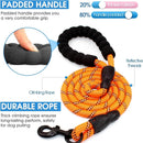 Premium Heavy-Duty Nylon Dog Leash with Padded Handle