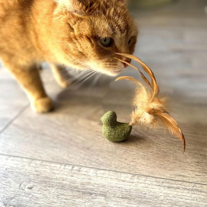 Catnip Toy For Cat