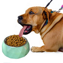 Anti-Skid Melamine Stainless Steel Bowls For Dogs