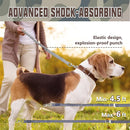 Training Leash For Medium & Large Dogs