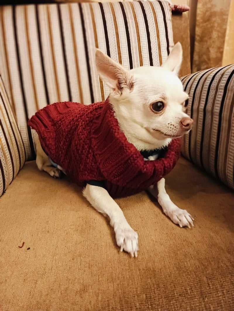 Sweater For Small Dogs Cats (Burgundy)