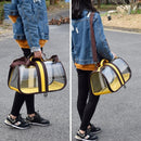 Portable Transparent Pet Carrier - Foldable Handbag for Cats & Puppies