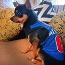 Summer T-shirt For Pets