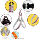 Breathable Dog Harness for Safety
